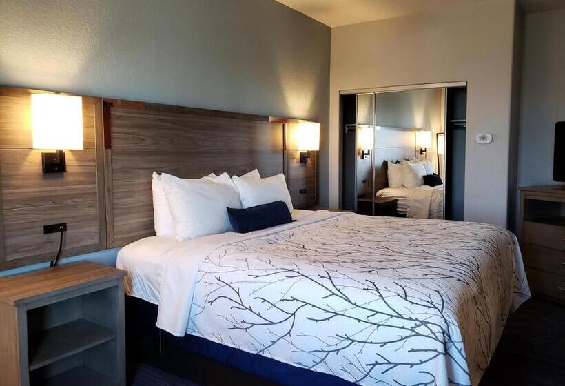 Suite Adaptée aux Personnes à Mobilité Réduite, Best Western Plus San Antonio East Inn & Suites