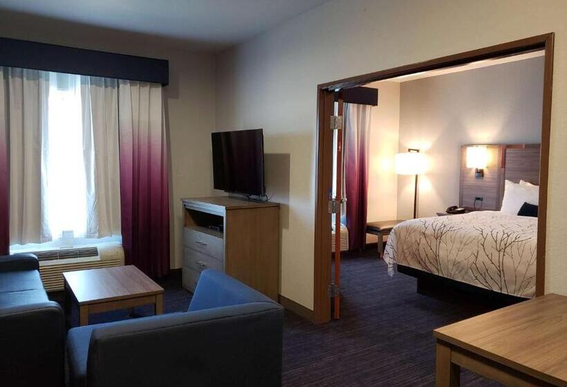 适合残疾人士使用的套间, Best Western Plus San Antonio East Inn & Suites