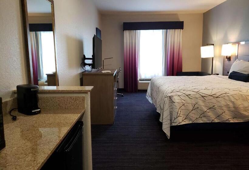 Chambre Standard Lit King Size Adaptée aux Personnes à Mobilité Réduite, Best Western Plus San Antonio East Inn & Suites