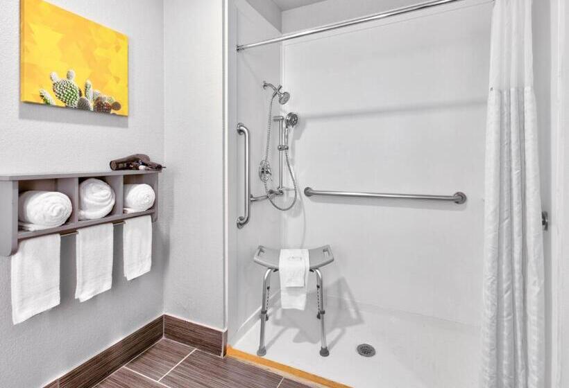 اتاق استاندارد برای معلولان, La Quinta By Wyndham Dallas   Las Colinas