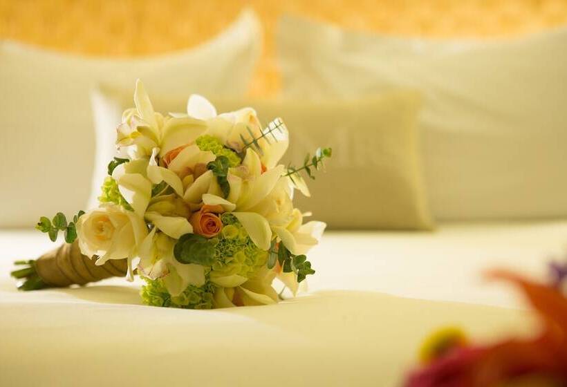 Номер Премиум, Movich Hotel Cartagena De Indias