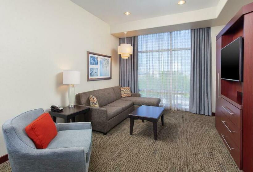 سوئیت با تخت بزرگ, Staybridge Suites Las Vegas   Stadium District