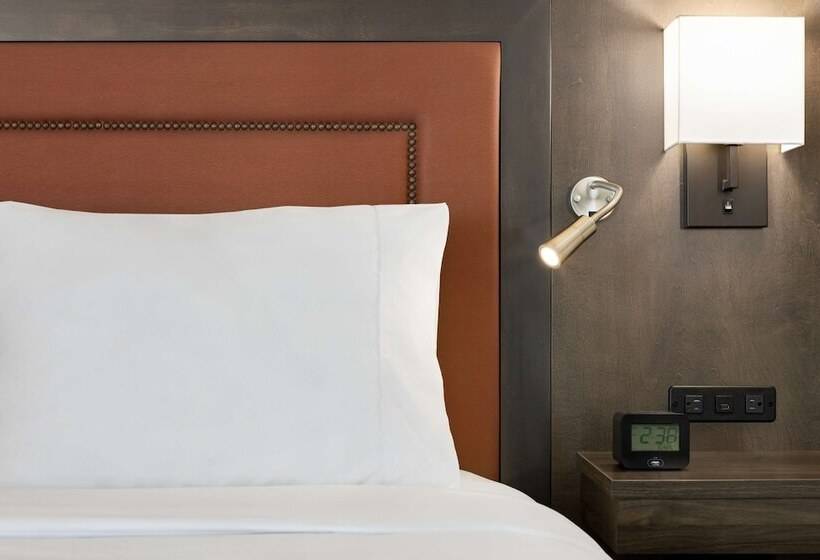 스탠다드 룸 더블 침대, Hampton Inn & Suites Greenville Downtown Riverplace