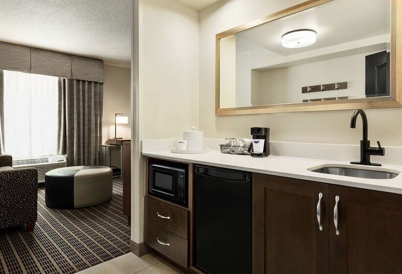 Escritório Estandar Cama Casal, Hampton Inn & Suites Greenville Downtown Riverplace