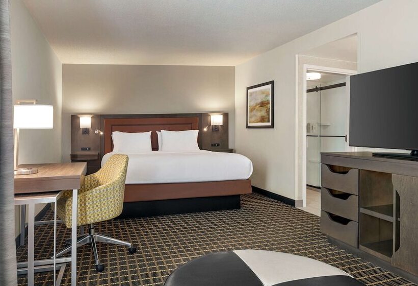 스탠다드 스튜디오 더블 침대, Hampton Inn & Suites Greenville Downtown Riverplace