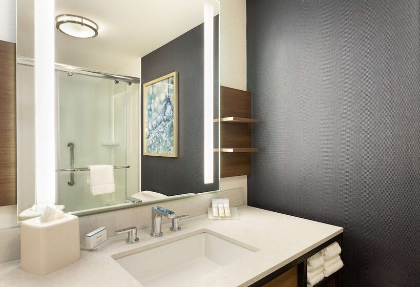 Номер Deluxe, Hilton Garden Inn Melville