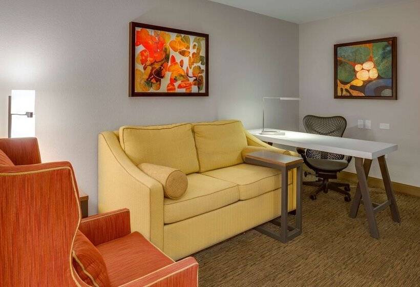 سوییت, Hilton Garden Inn Oklahoma City Airport