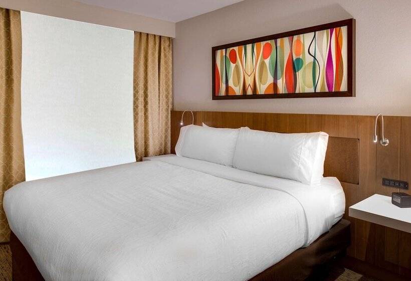 سوییت, Hilton Garden Inn Oklahoma City Airport