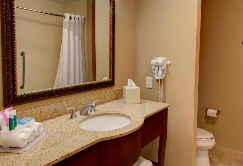 اتاق استاندارد, Holiday Inn Express & Suites Sioux City South, An Ihg