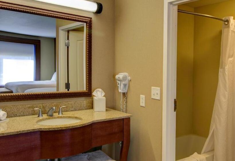 اتاق استاندارد با تخت بزرگ, Holiday Inn Express & Suites Sioux City South, An Ihg