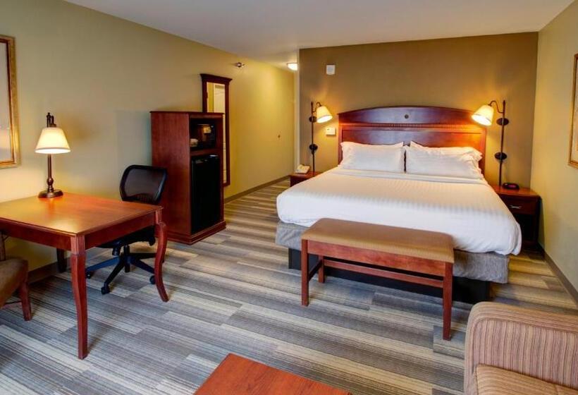 اتاق استاندارد با تخت بزرگ, Holiday Inn Express & Suites Sioux City South, An Ihg