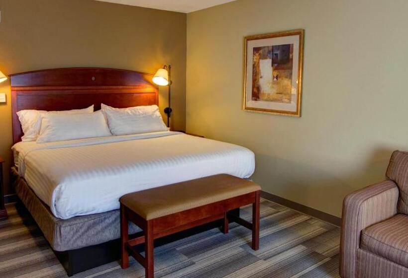 اتاق استاندارد با تخت بزرگ, Holiday Inn Express & Suites Sioux City South, An Ihg
