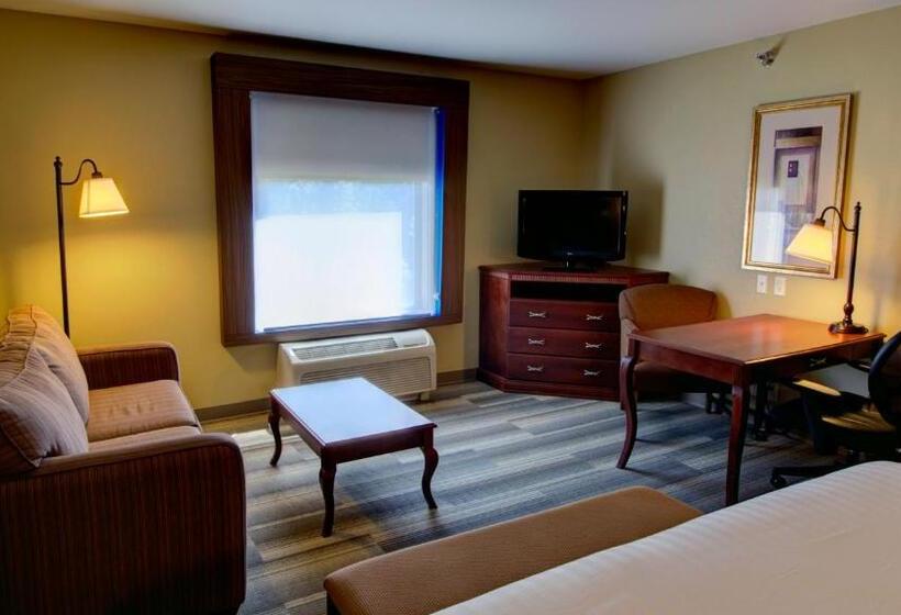 اتاق استاندارد با تخت بزرگ, Holiday Inn Express & Suites Sioux City South, An Ihg
