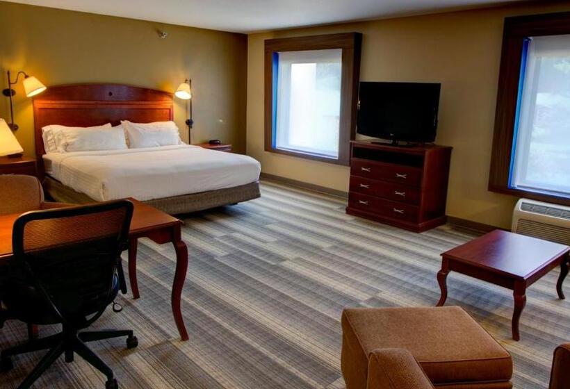 سوئیت اجرایی با تخت کینگ, Holiday Inn Express & Suites Sioux City South, An Ihg