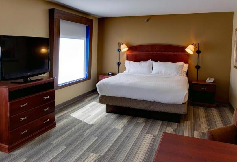 سوئیت اجرایی با تخت کینگ, Holiday Inn Express & Suites Sioux City South, An Ihg