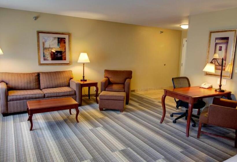 سوئیت اجرایی با تخت کینگ, Holiday Inn Express & Suites Sioux City South, An Ihg