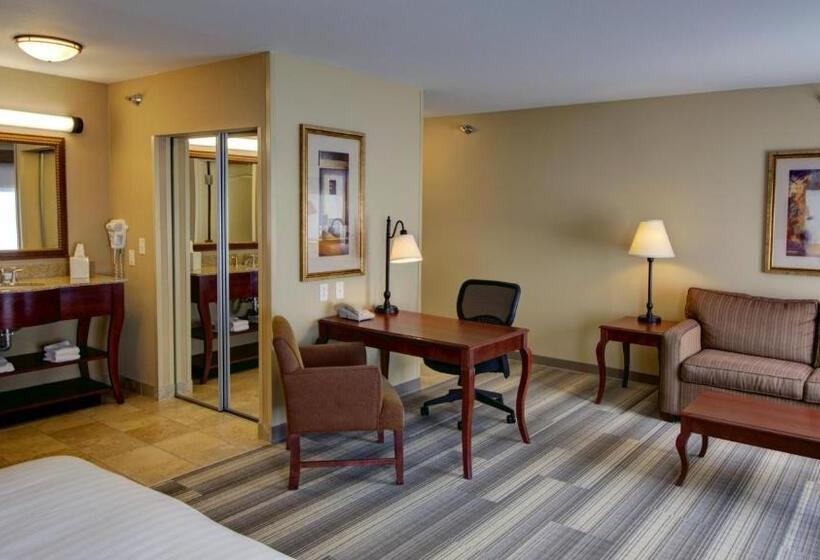 سوئیت اجرایی با تخت کینگ, Holiday Inn Express & Suites Sioux City South, An Ihg