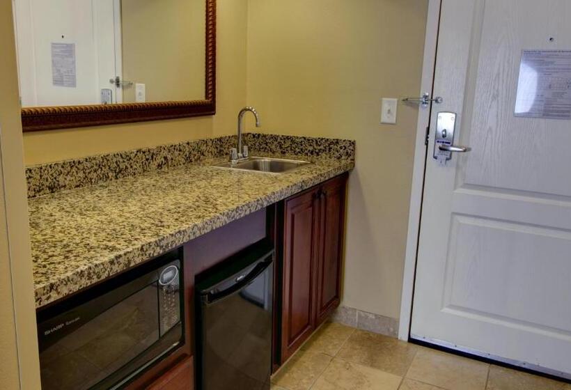 سوئیت اجرایی با تخت کینگ, Holiday Inn Express & Suites Sioux City South, An Ihg