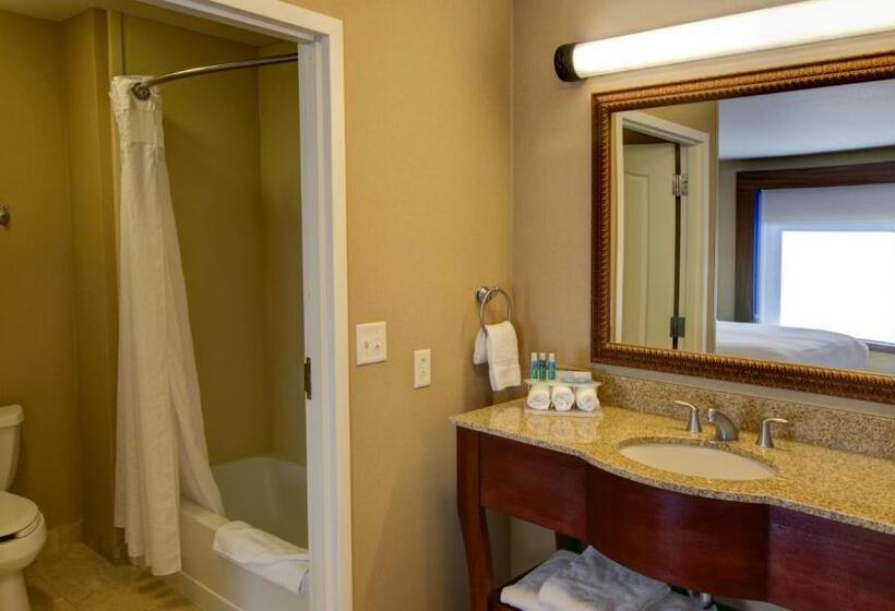 اتاق استاندارد, Holiday Inn Express & Suites Sioux City South, An Ihg