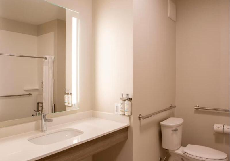اتاق استاندارد با تخت بزرگ, Holiday Inn Express & Suites Sioux City South, An Ihg