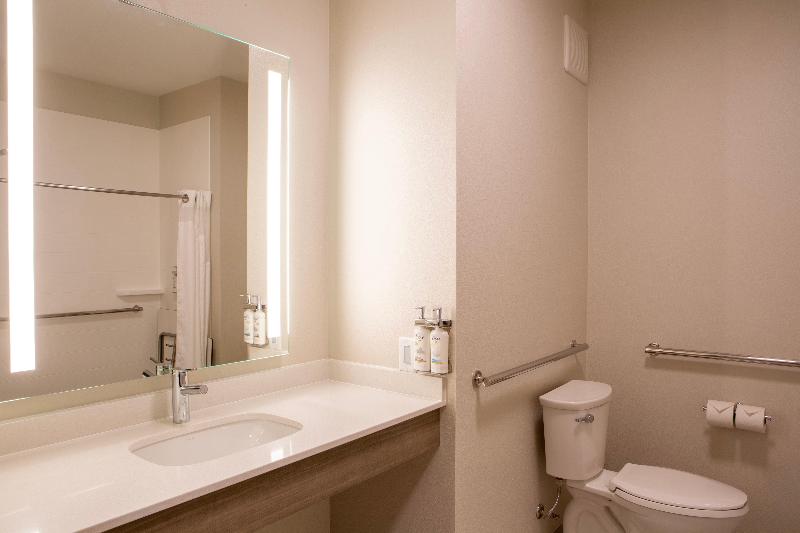 اتاق استاندارد با تخت بزرگ, Holiday Inn Express & Suites Sioux City South, An Ihg