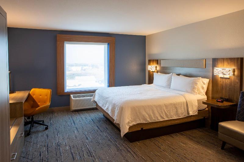 اتاق استاندارد با تخت بزرگ, Holiday Inn Express & Suites Sioux City South, An Ihg