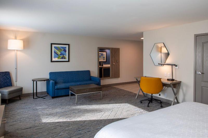 اتاق استاندارد با تخت بزرگ, Holiday Inn Express & Suites Sioux City South, An Ihg