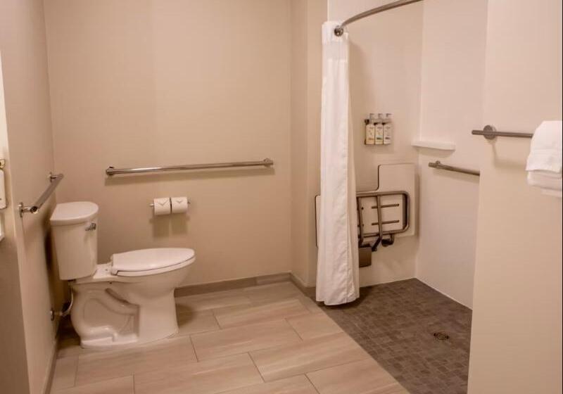 اتاق استاندارد با تخت بزرگ برای معلولان, Holiday Inn Express & Suites Sioux City South, An Ihg