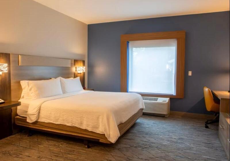 اتاق استاندارد با تخت بزرگ برای معلولان, Holiday Inn Express & Suites Sioux City South, An Ihg