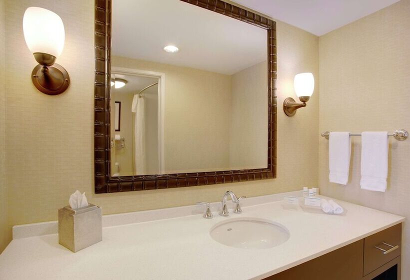 Люкс, Homewood Suites By Hilton Tampabrandon