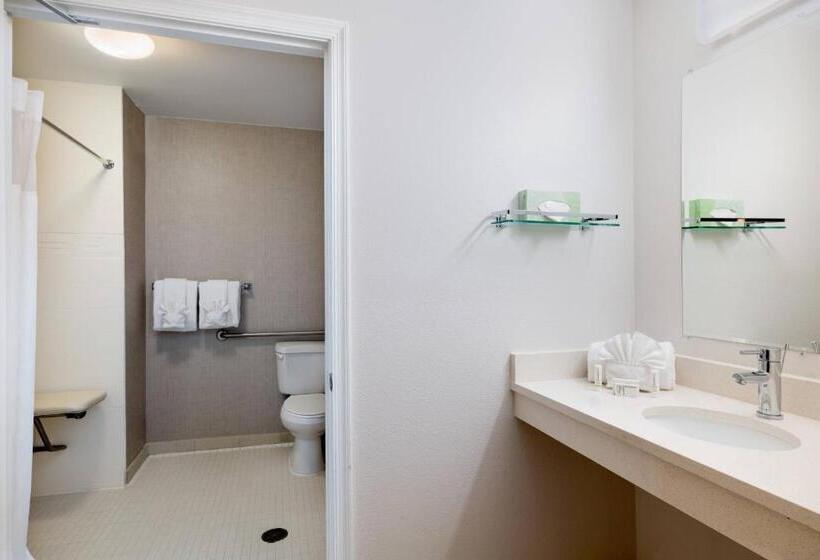 Люкс, Residence Inn By Marriott Williamsburg