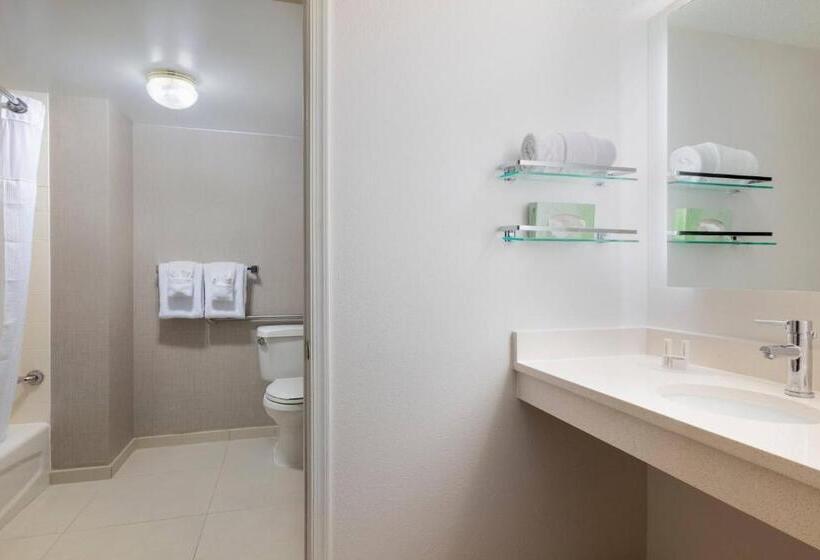 Люкс Адаптированный для Инвалидов, Residence Inn By Marriott Williamsburg