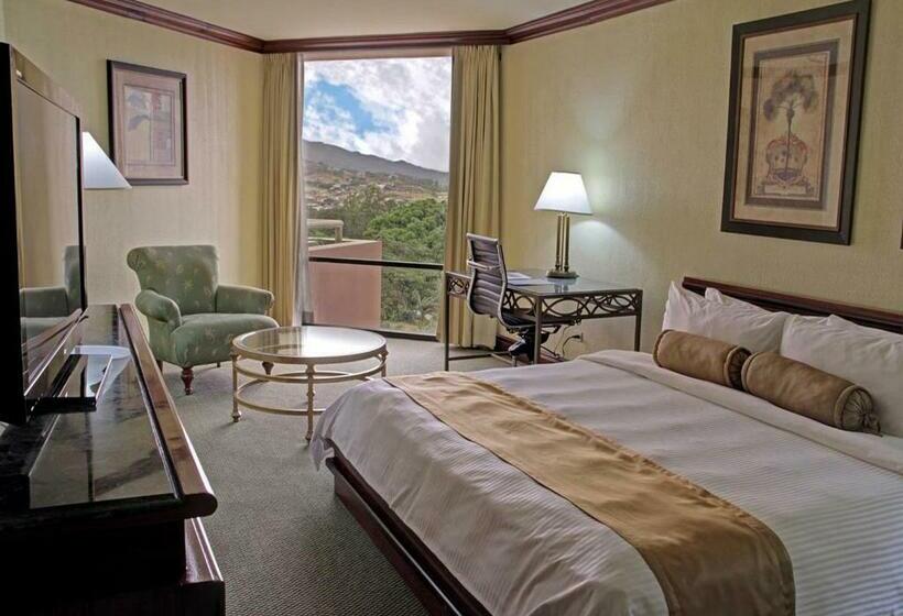 Номер Стандарт Вид на Бассейн, Wyndham San Jose Herradura