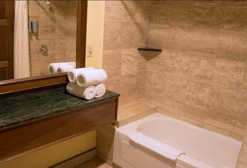Полулюкс, Wyndham San Jose Herradura