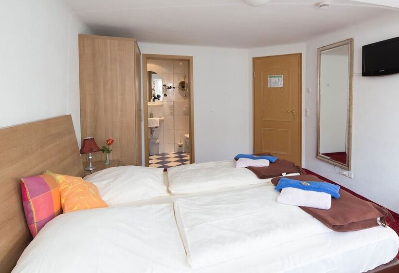 Номер Стандарт, Boutiquehotel Goldene Rose   Self Check In