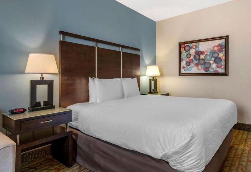 חדר סטנדרט עם מיטת קינג, Best Western Plus Bradenton Gateway