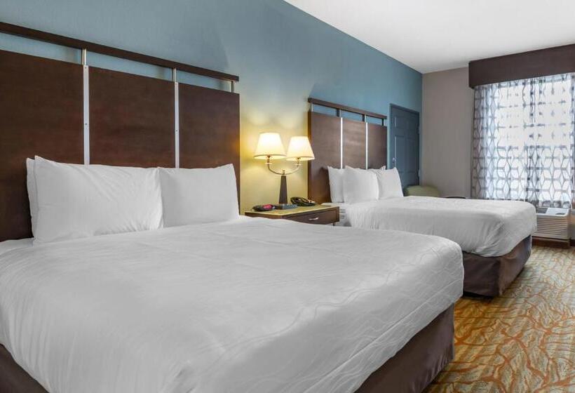 חדר סטנדרט מותאם לאדם עם מוגבלויות, Best Western Plus Bradenton Gateway