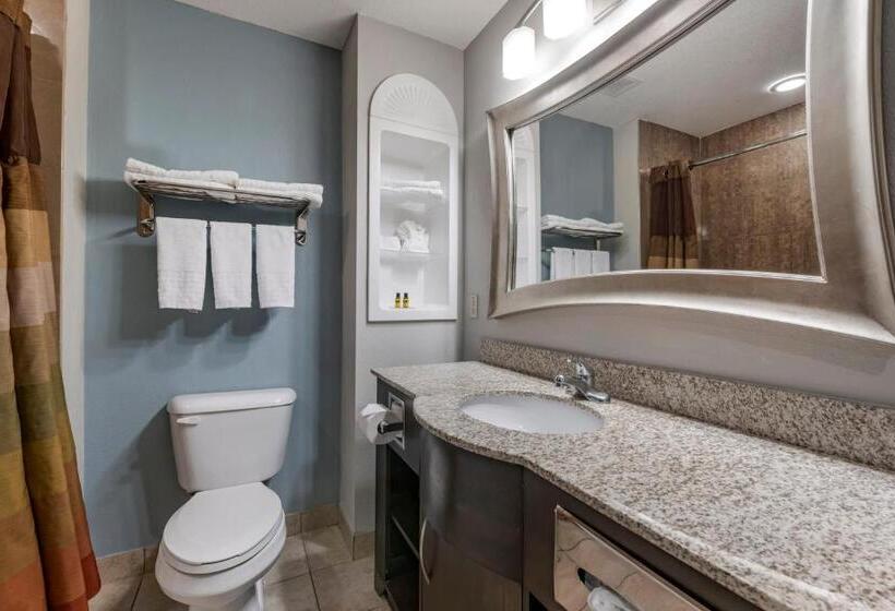 חדר סטנדרט, Best Western Plus Bradenton Gateway
