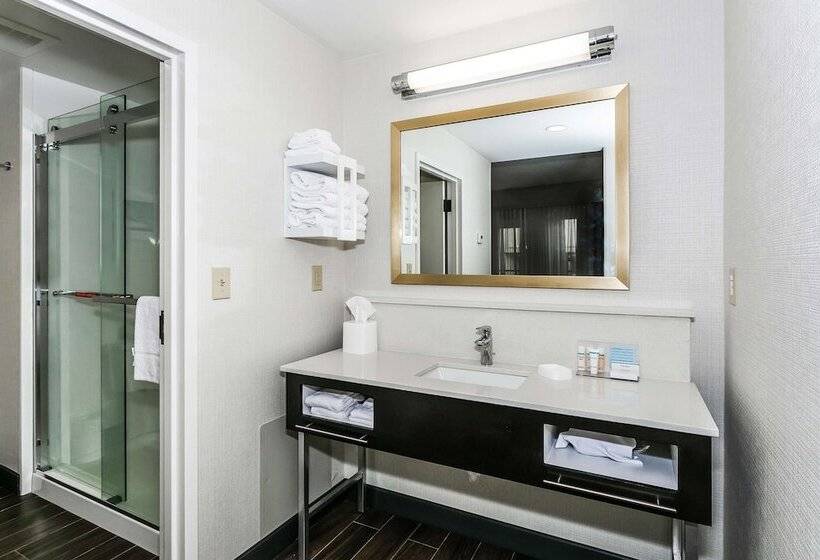 스위트, Hampton Inn & Suites Mobile  Downtown Historic District
