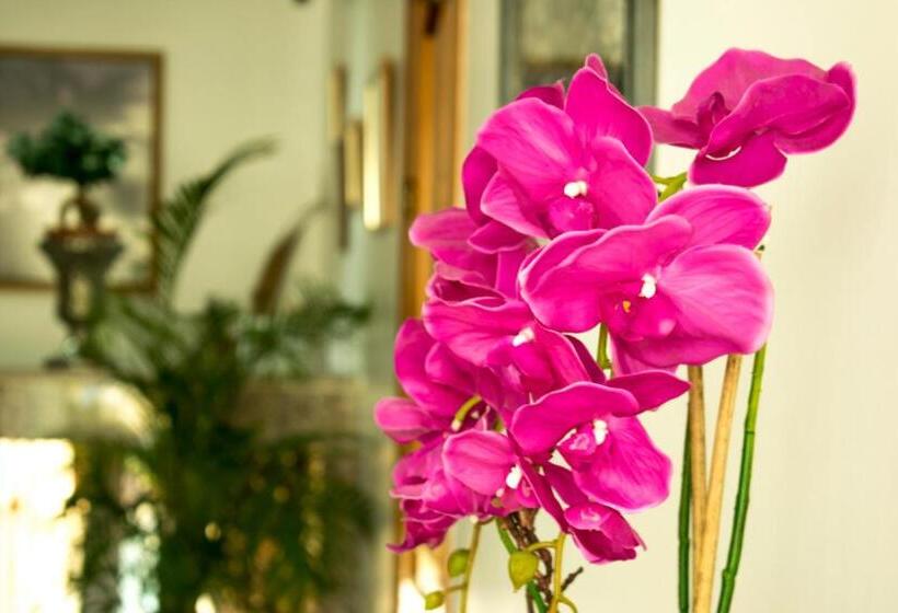 اتاق استاندارد, Hostal Juan Carlos