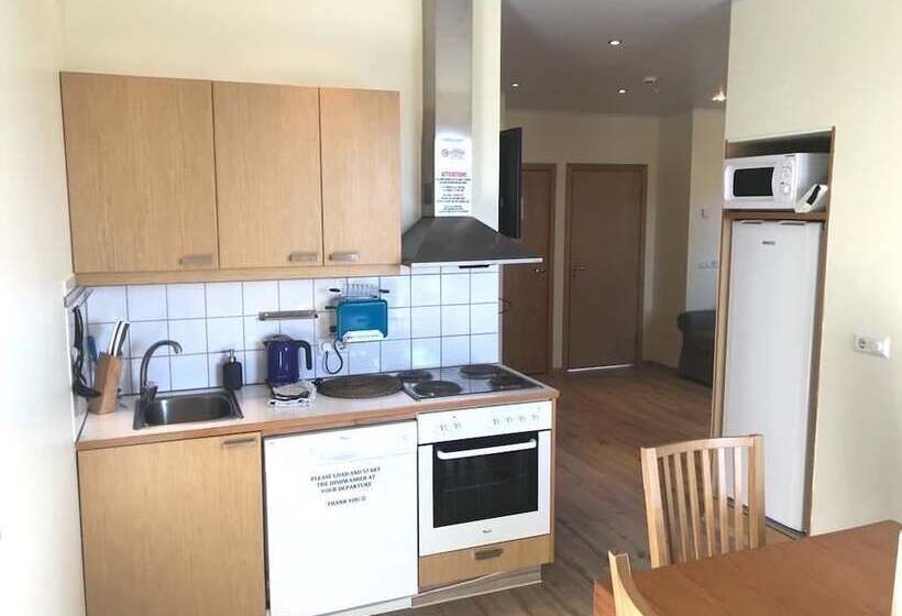 آپارتمان 3 خوابه, Downtown Reykjavík Apartments