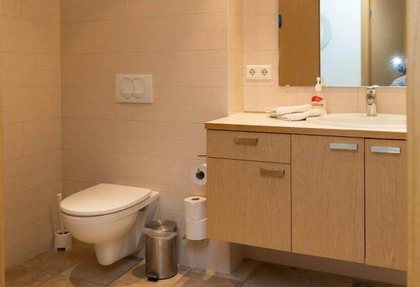 آپارتمان سوپریور 3 خوابه, Downtown Reykjavík Apartments