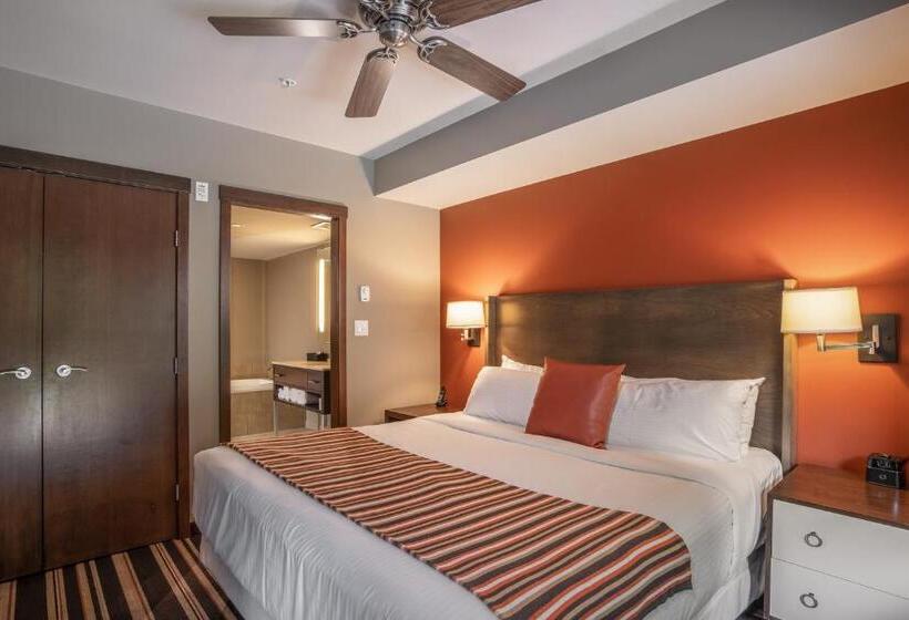 Apartamento 2 Dormitórios, Evolution Whistler