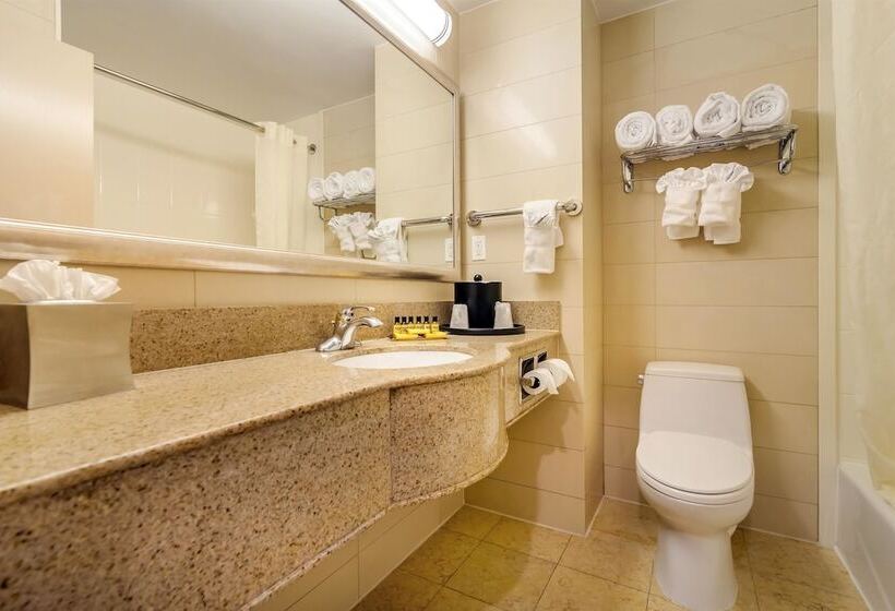 Люкс, Best Western Plus Plaza