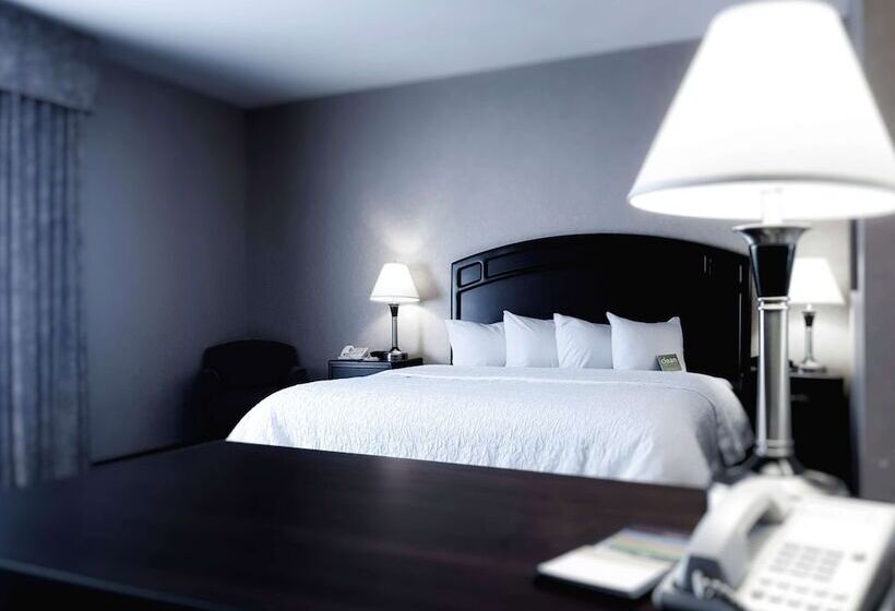 标准间, Hampton Inn & Suites By Hilton Edmonton Intl Airport