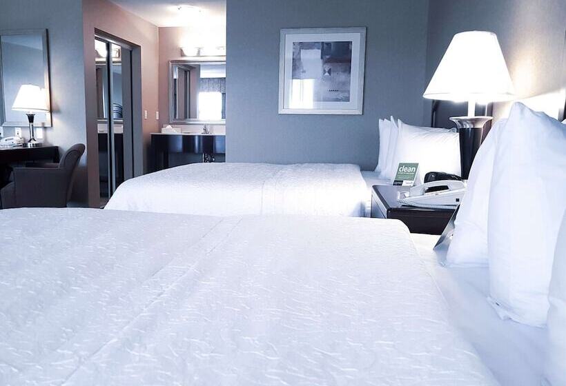 标准间, Hampton Inn & Suites By Hilton Edmonton Intl Airport