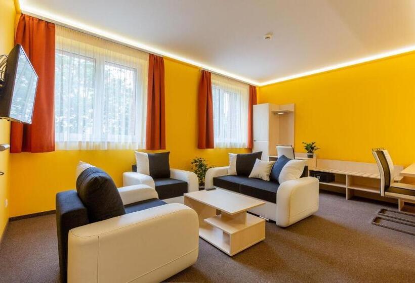 آپارتمان سوپریور 1 خوابه, Hostel Mayer Superior Veszprem