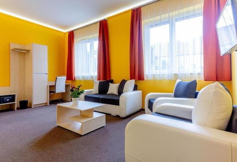 آپارتمان سوپریور 1 خوابه, Hostel Mayer Superior Veszprem