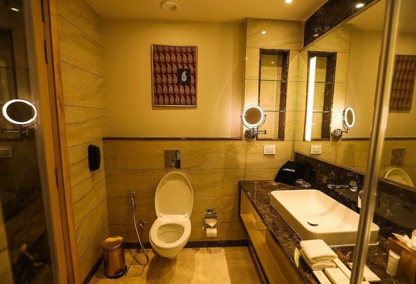 اتاق اجرایی, Radisson Bhopal