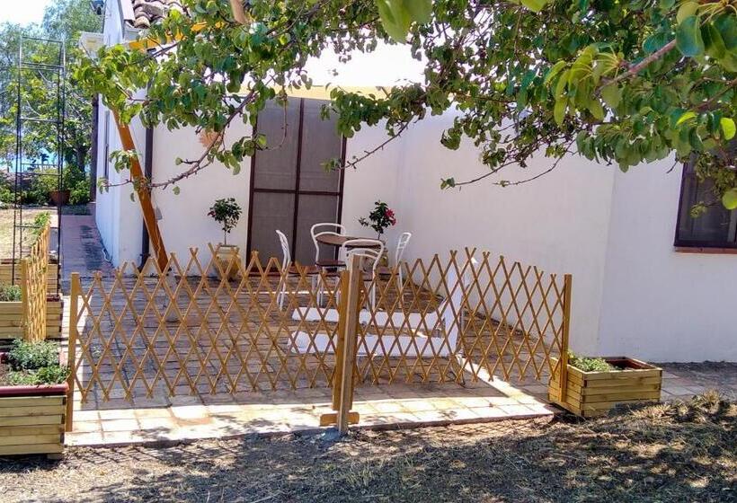 Номер Стандарт, Tenuta Rara Avis